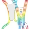 Amphipod Xinglet Optic Beam Lite - Rainbow (457-29) -Chic Sportswear Store ab9da607 d347 46c0 823e 0735f999d90a